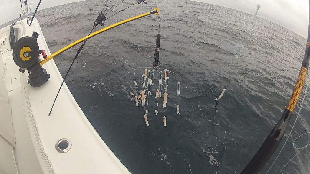 Billfish dredges The Hull Truth Boating and Fishing Forum